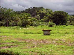 There's lots of level land with scattered woods, a banana grove and, on the other side of the distant forest, the Canas River.